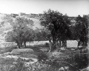 Gethsemane